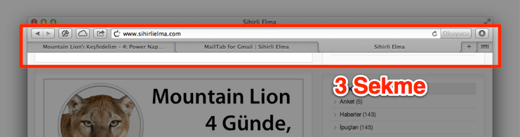 sihirli-elma-safari-6-4.png Sihirli elma safari 6 4