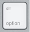 option.png Option
