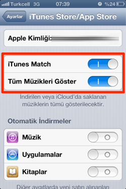 apple itunes match