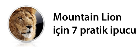 sihirli-elma-mountain-lion-7-pratik-ipucu-banner.jpg
