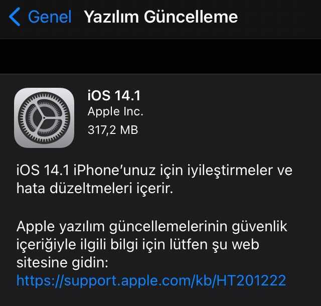 iOS 14.1