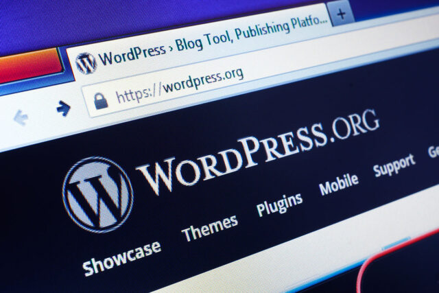 wordpress1